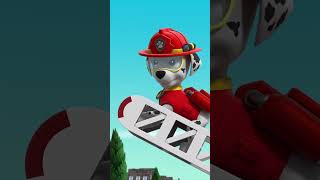 Katie mène la Pat Patrouille pour arrêter les chatons qui aboient PAWPatrol Shorts Français [upl. by Ninazan542]