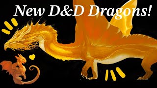 reacting to the NEW DampD dragons  2024 DampD Dragon Redesigns [upl. by Yerfoeg]