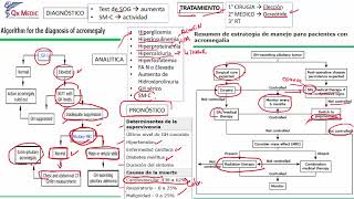 7 ACROMEGALIA [upl. by Candide]