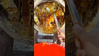 Extreme Honeycomb harvesting 🍯 Harvesting honey from beehive 🐝 EP37 shorts satisfying viral [upl. by Nadnal835]