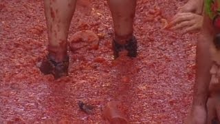 Tomatina in Bunol Annual tomato throwing fight takes place in Spain [upl. by Ail]