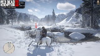 RDR2  How To Find amp Tame The Rare White Arabian Horse 2024 [upl. by Puri15]