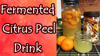 Fermented Citrus Peels for Health [upl. by Naruq613]