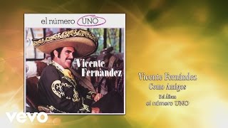 Vicente Fernández  Como Amigos Cover Audio [upl. by Dehnel]