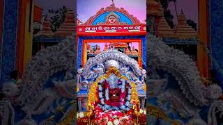 Ghatagaon Tarini Temple WhatsApp Full Screen statu laxmibhajan odiastatus bhajan [upl. by Amadus837]