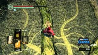 Dark Souls Walkthrough  The Great Hollow amp To Ash Lake Part 054  WikiGameGuides [upl. by Rod]