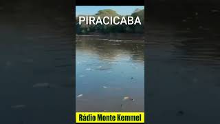 MILHARES DE PEIXES MORRERAM NO RIO PIRACICABA piracicaba [upl. by Anirbas352]