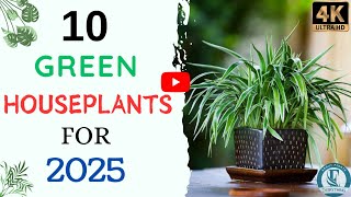 Top 10 Green Houseplants For 2025  Best Indoor Plants For 2025 [upl. by Esahc]