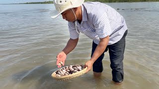 How to cook Oyster with natural place Eating for Lunch so delicious n fresh air SaryCookingTV [upl. by Annyl]