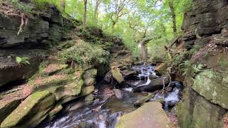 Rock Space Healey Dell [upl. by Eegnat412]