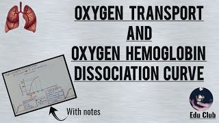 Oxygen transport and Oxygen Hemoglobin Dissociation Curve  Respiratory Phsyiology [upl. by Mayram816]