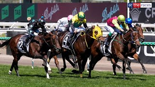 Melbourne Cup 2024 Replay  901 shot Knights Choice wins it in a photo finish under Robbie Dolan [upl. by Teufert]