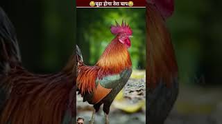 Budha ho gya tere bap ￼youtubeshorts amazingfacts trending facts shortsvideo funny [upl. by Anna-Maria]