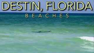 Destin Florida Beaches  How to Stay SAFE When Visiting the Emerald Coast [upl. by Junie]