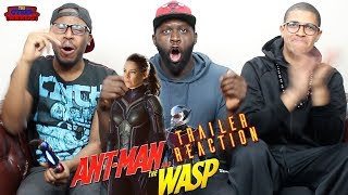 AntMan amp The Wasp Trailer REACTION [upl. by Sarge]