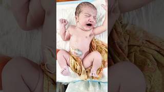 Cutest Newborn Baby Birthday First Cry AfterBirth [upl. by Nive]