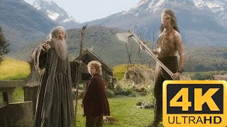 Beorn  The Hobbit  The Desolation of Smaug 4K HDR [upl. by Jaquiss]