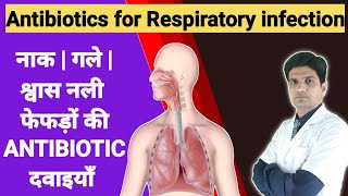 फेफड़ों गले सांस नली की best antibiotic  Antibiotics for Respiratory infection [upl. by Phare]