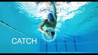 Zoggs Swim Tips  Freestyle  Presented By ProSwimwear [upl. by Ellon976]