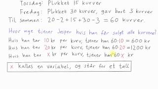 Matematikk 1P  072  Introduksjon til variabler [upl. by Notterb]