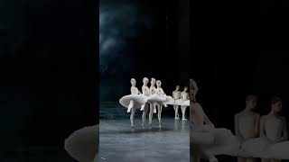 Swan lake ballet [upl. by Jahdiel]