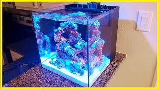 Step 2  Adding Water to the ZoanthidOnly Nano Reef [upl. by Orsa]