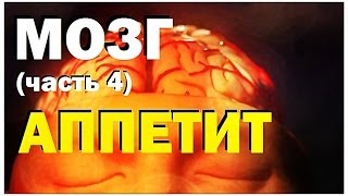 Галилео Мозг часть 4 Аппетит [upl. by Readus]