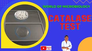 Catalase Test  Tamil  Identification of Bacteria by Biochemical Test  Slide and Tube Test [upl. by Tyre643]