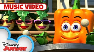 Its Summertime ☀️  Music Video  Spookley the Square Pumpkin  disneyjr [upl. by Almeida]