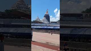 Puri Jagannath Temple ✨ 🙏❤️Odisha ❤️Jay Jagannath 🙏 [upl. by Abraham]