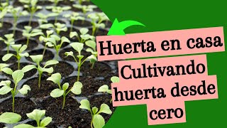 Huerta desde cero prepara tus propios bancales siembra en invierno [upl. by Cassiani]