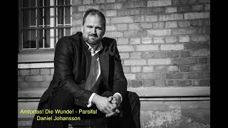 Daniel Johansson  Amfortas Die Wunde  ParsifalRichard Wagner [upl. by Cara]