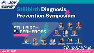 PUSH for Empowered Pregnancy Stillbirth Diagnosis amp Prevention Symposium 2021 [upl. by Ode]