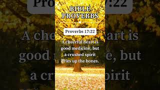 Proverbs 1722 🙏 short prayer proverbs [upl. by Lulu]