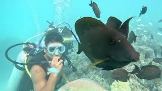 BANGARAM ISLAND RESORT LAKSHADWEEP  SCUBADIVING [upl. by Legyn]