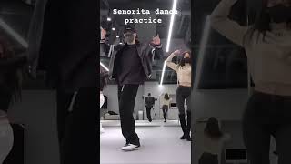 senorita dance practice dance kpop bts choreography 소녀시대 kingtheland [upl. by Oiragelo]