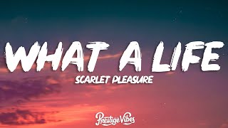 Scarlet Pleasure  What A Life Lyrics [upl. by Teodoro]