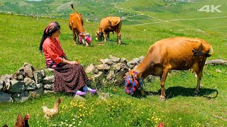 İnekli Yayla Göçü  Belgesel [upl. by Beaver365]