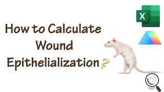 How to calculate Epithelialization in wound healing study [upl. by Assirahc]