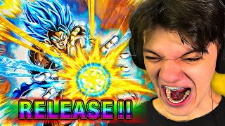 FUNNY Dokkan Battle 9th Anniversary Summons for LR Gogeta Blue amp Broly [upl. by Eahsal73]