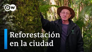 ¿Pueden los árboles paliar la crisis climática  DW Documental [upl. by Lotti]