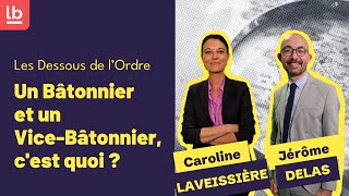 Les Dessous de lOrdre Un Bâtonnier et un ViceBâtonnier cest quoi [upl. by Alviani]