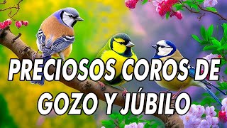 Preciosos Coros De Gozo Y Júbilo 🙏🏻 Coros Viejitos Pero Bonitos 🕊 Coros Pentecostales Del Ayer [upl. by Ailima]