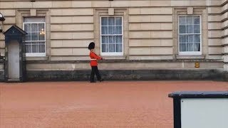 Guardsman in Trouble Over Buckingham Palace Pirouette  Forces TV [upl. by Eisej]