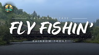 FLY FISHIN For some RAINBOW TROUT [upl. by Partridge]