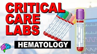 Hematology  Complete Blood Count CBC  Critical Care Labs [upl. by Andriette145]