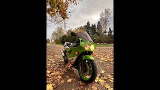 1989 Kawasaki ZXR 750 Stinger [upl. by Martres]