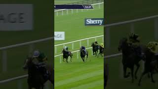 Jan Brueghel  lovely prospect horse horseracing racingtv sport britishhorseracing [upl. by Deppy904]