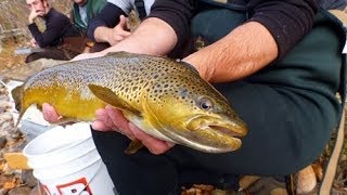 Boise River Fish Population Surveys 2013 [upl. by Eigram]