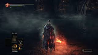 Dark Souls 3 Playing with the Abyss Watchers Moveset [upl. by Aicinad]